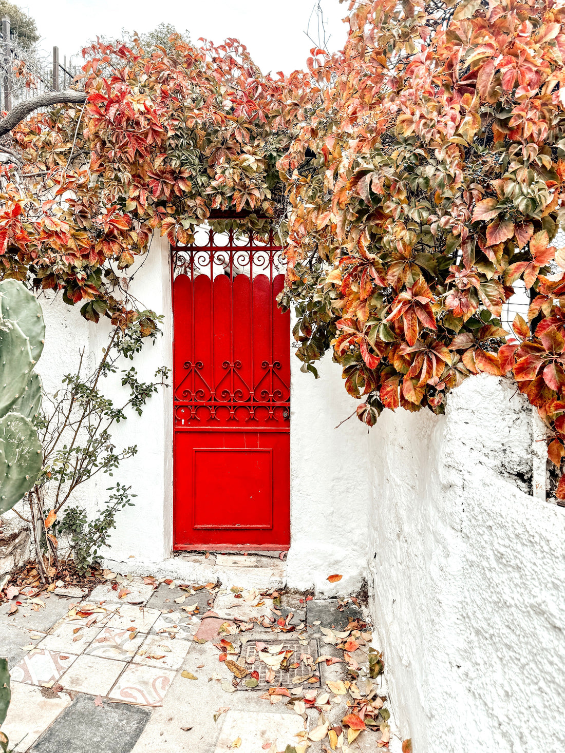 Most Instagrammable & Pictur(o)escque places in Athens, Greece