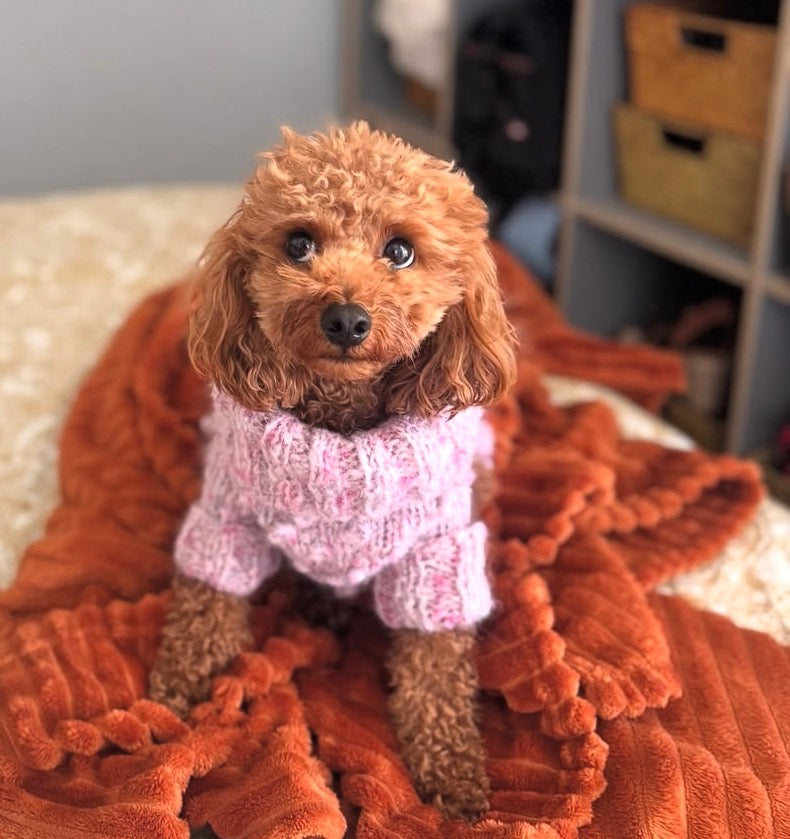 Dog Bubble Sweather in color "Dusty Pink"